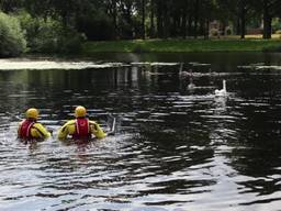 Brandweer in Eindhoven redt in visdraad vastgekomen jonge zwaan
