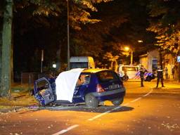 Auto rijdt door hek tegen boom, automobilist overlijdt na ongeluk in Oisterwijk