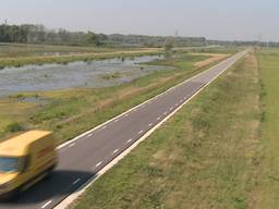 Biesboschbevers doodgereden op nieuwe polderwegen in de Noordwaard