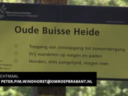 Tussen de natuur op de Oude  Buisse heide staat de komende twee maanden ook kunst