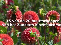 [VIDEO] Buurtschappen bloemencorso Zundert weten al wat ze gaan bouwen voor het corso 2017