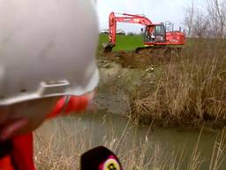 Bever terug in Gassel