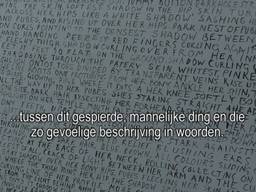 Fiona Banner gebruikt vliegtuigonderdelen voor haar kunstwerken in museum De Pont