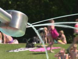 Plotseling is het zomer ook voor de Brabantse openluchtzwembaden