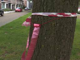 Buurtbewoners hangen zelf zakjes op tegen hondenpoep voor de deur