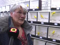 Vogels gestolen bij De Bastaarden in Nuenen