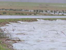 Extrem hoogwater in Biesboschpolder de Noordwaard