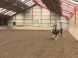 In Hapert was vandaag een clinic Horseboarding