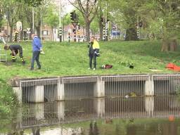 Brandweer redt vier jonge eendjes uit afwateringssysteem in Roosendaal