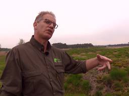 Natuurbeheerders nemen maatregelen om natuur te beschermen tegen hordes recreanten