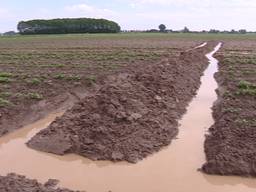 Flinke strop voor akkerbouwer Leen Vos