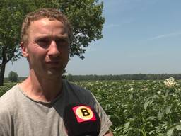 Boer Paul Horevoorts uit Alphen sprayt zonnebrand om zijn aardappels te beschermen tegen de zon