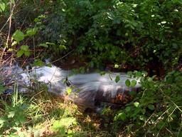 Reddingsactie van waterschap De Dommel: 'Het is nog nooit zo droog geweest'