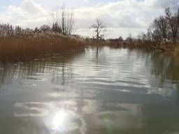 Dit is veranderd in 25 jaar Nationaal Park De Biesbosch