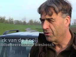 Honderden reewildspiegels in de Biesbosch moet aanrijdingen met groot wild verminderen