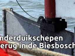 Onderduikschepen keren na 76 jaar terug in de Biesbosch