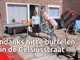 Ondanks hitte wordt er in de Bossche Celsiusstraat flink geklust