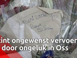 [Tijdlijn] Stint werd ongewenst vervoermiddel door ongeluk in Oss.