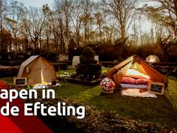 Je tentje opzetten in het Sprookjesbos: eenmalig mogen gelukkigen kamperen midden in de Efteling