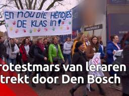 Protesterende leraren in optocht van station naar Parade in Den Bosch