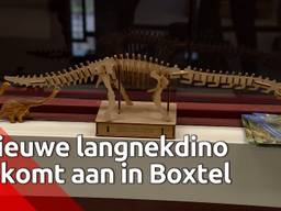 Tweede skelet van een langnekdino uit de Verenigde Staten aangekomen bij Oertijdmuseum