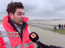 Unieke beelden, de Noordwaardpolder in de Biesbosch bij Werkendam loopt vol