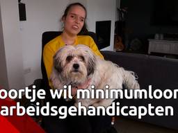 Noortje van Lith teleurgesteld: arbeidsgehandicapten hebben óók recht op het minimumloon