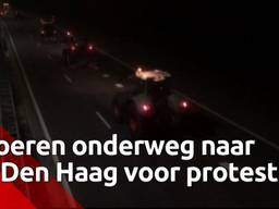 Boeren op de N269 bij Hilvarenbeek.