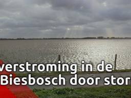 Mega overstroming in de Biesbosch door combinatie van storm en hoogwater