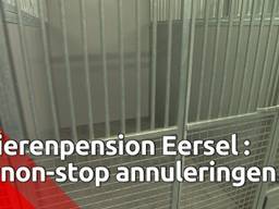 Dierenpension Eersel krijgt non-stop annuleringen