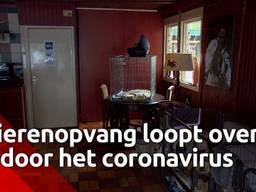 Deze dierenopvang in Nispen loopt over door toedoen van het coronavirus