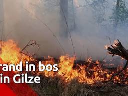 Natuurbrand in Gilze