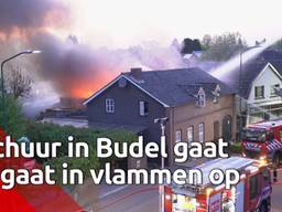 Grote brand in schuur Budel-Schoot geblust, publiek komt massaal kijken en hindert brandweer