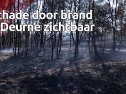 Brandweer hoopt vuur in De Peel vandaag onder controle te krijgen, ruim honderd hectare verwoest