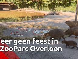 Weer geen feestje voor ‘pechpark’ Overloon