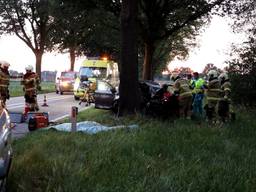 Vrouw ernstig gewond na botsing tegen boom