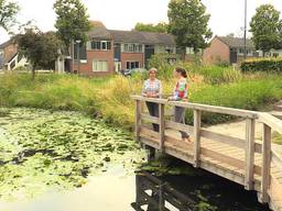 Anne laat de amfibieënkenner de kikkervijver voor haar huis zien