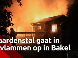 Uitslaande brand verwoest paardenstal in Bakel, paarden op tijd weggehaald