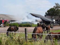 Brand tijdens ponykamp bij manege in Goirle