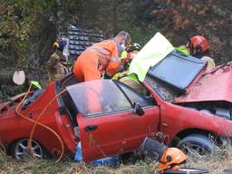 Auto rijdt boom omver in Budel, man onder politiebegeleiding naar ziekenhuis