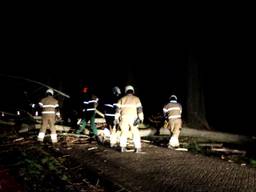 Vanuit heel de provincie komen donderdagochtend  meldingen binnen van omgewaaide bomen. 