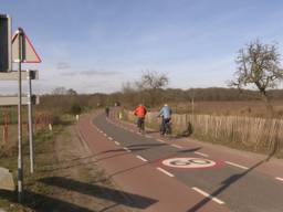 Verzet tegen rondweg in buitengebied bij Den Hout: 'Het is de doodsteek voor ons dorp'