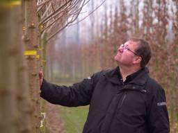 Pieter is maar wat trots dat zijn bomen langs de A2 komen te staan.