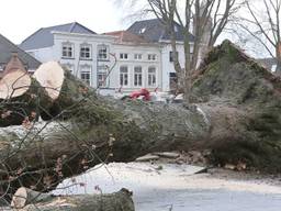 Mensen gewond door vallende boom, schade en verkeersoverlast