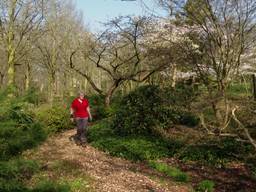 Bloemenpracht in Arboretum Oudenbosch