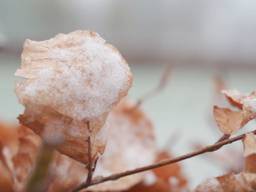 Een flitswinter van 15 minuten