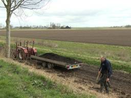 De Bloemendijk tussen Dinteloord en Steenbergen wordt aangeplant voor meer insecten