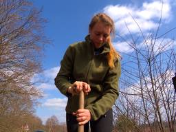 Efteling-medewerkers helpen een handje in de bossen nu park gesloten blijft