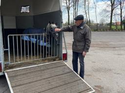 Hans krijgt geliefde pony weer terug