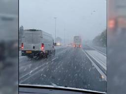 Flinke sneeuwbui midden in de lente 